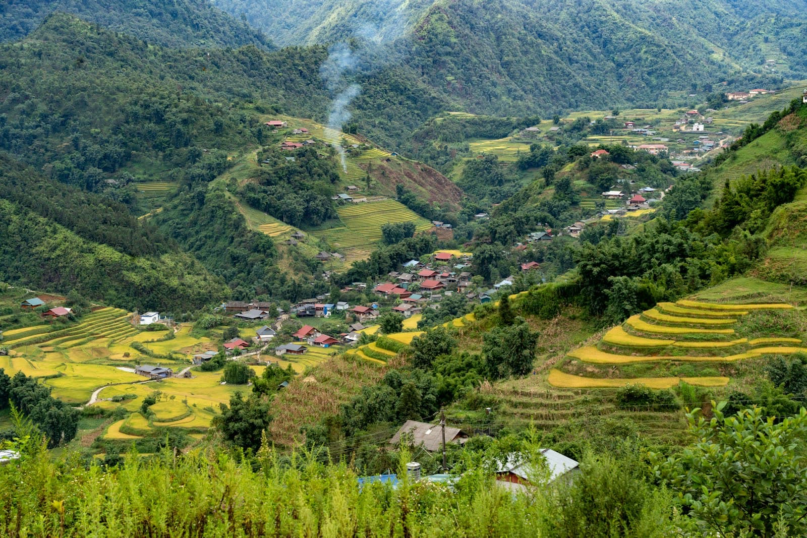 Sapa